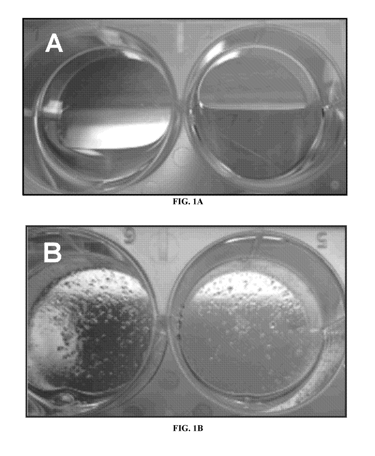 Three-dimensional scaffold culture system of functional pancreatic islets