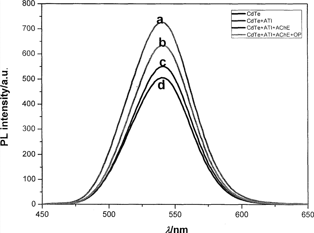 Method for detecting organic phosphorus pesticides by utilizing fluorescence intensity of CdTe quantum dot