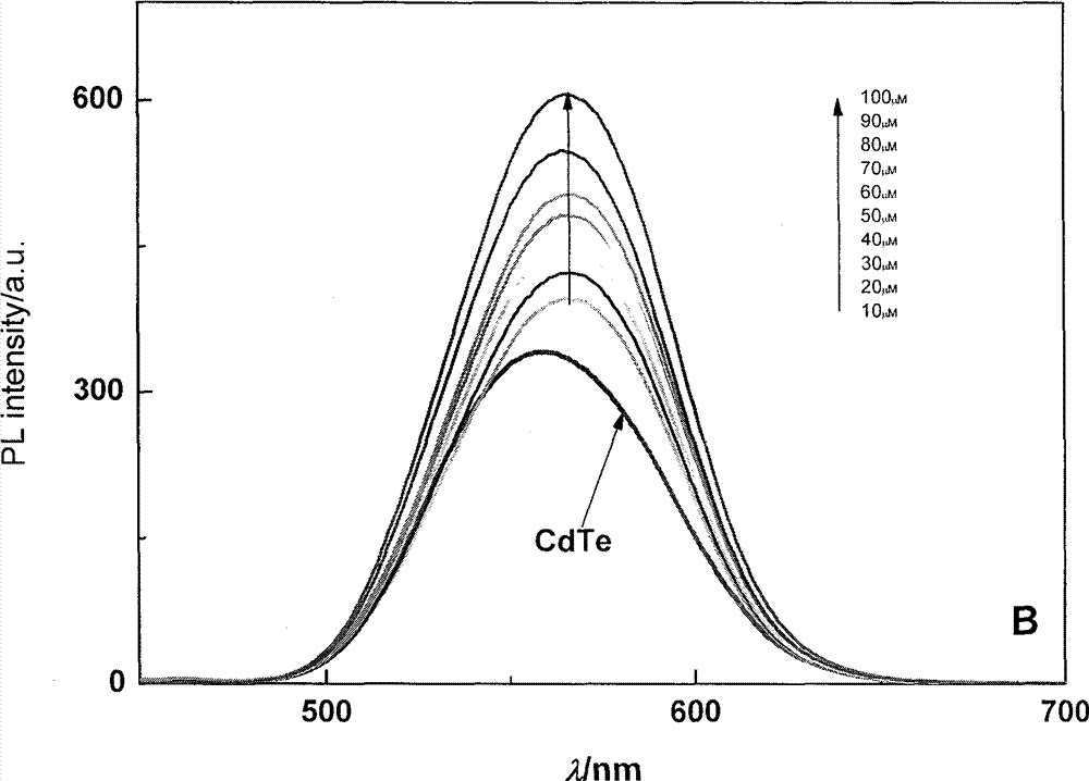 Method for detecting organic phosphorus pesticides by utilizing fluorescence intensity of CdTe quantum dot