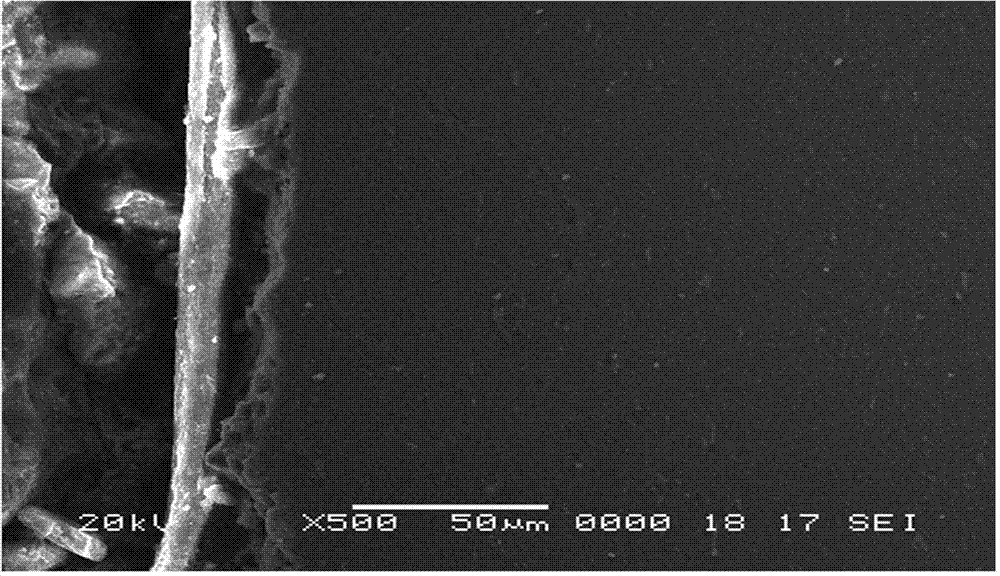 Method for preparing magnesium alloy with micro-arc oxidation ceramic membrane