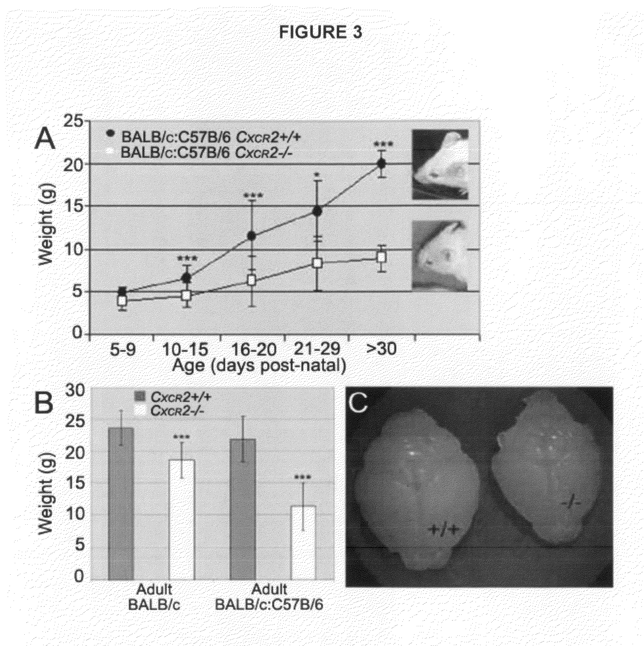 Cytokine signaling