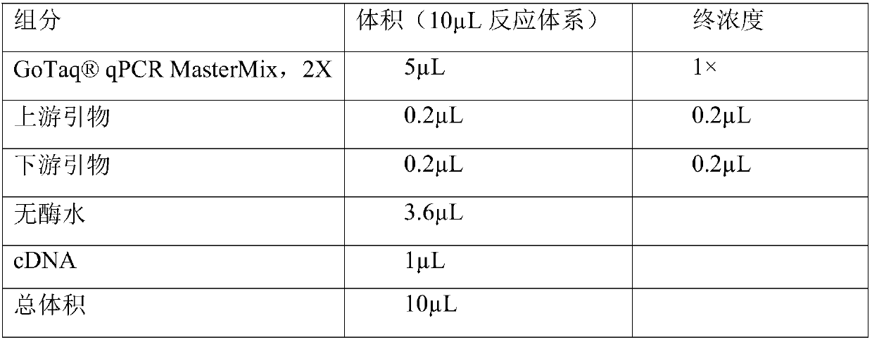 Cyclic RNA molecular marker for predicting prognosis and death risk of colorectal cancer and application of cyclic RNA molecular marker