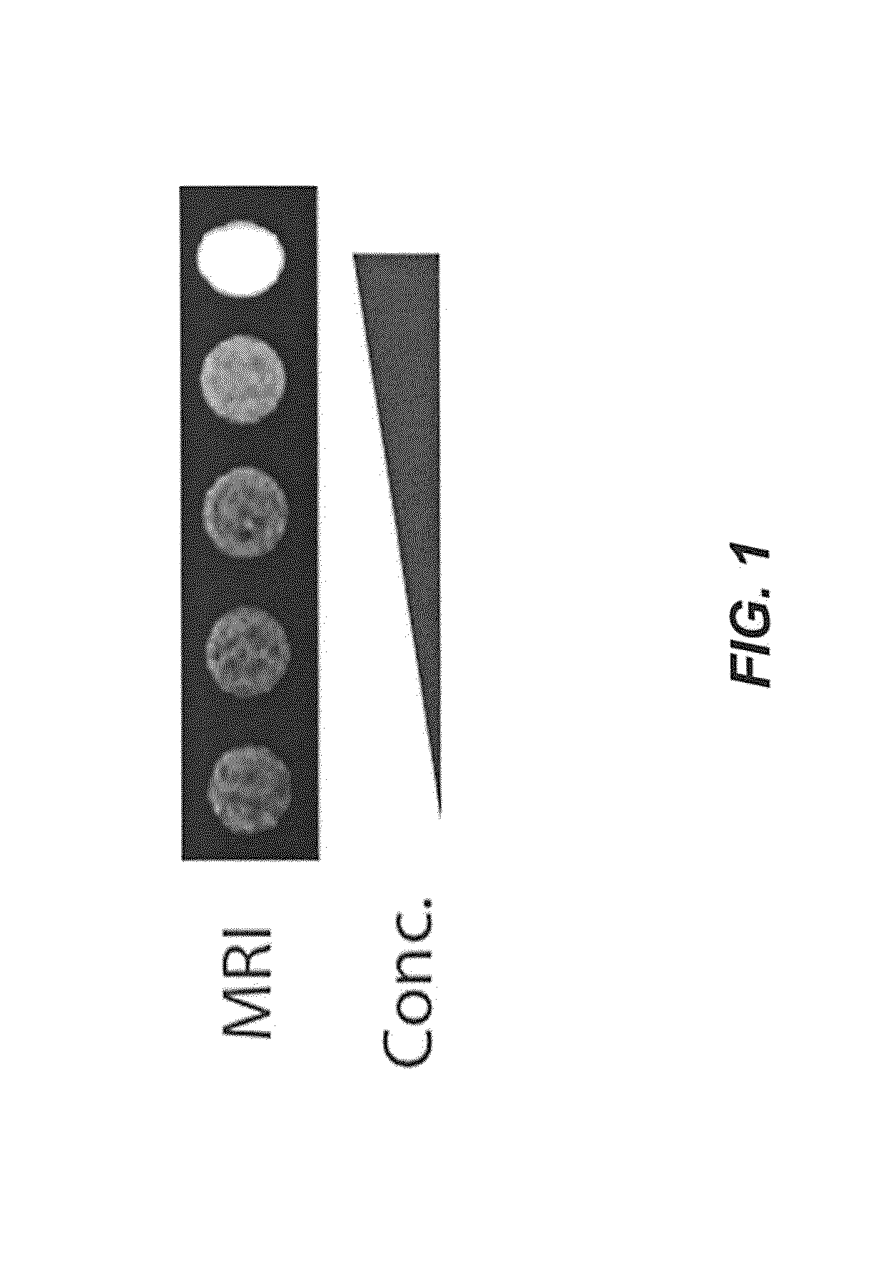 Host Cells with Artificial Endosymbionts