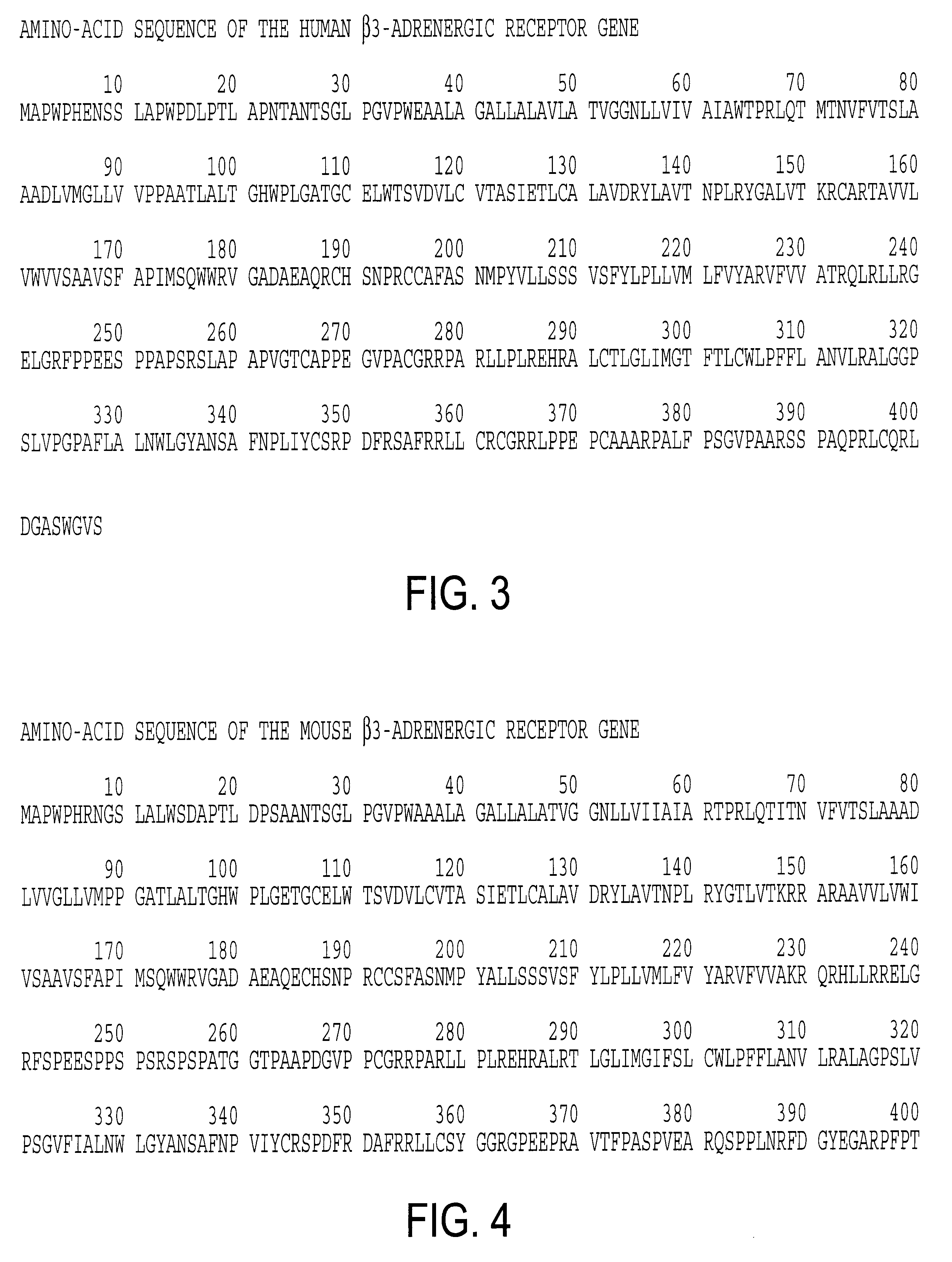 Intron/exon structure of the human and mouse beta3-adrenergic receptor genes