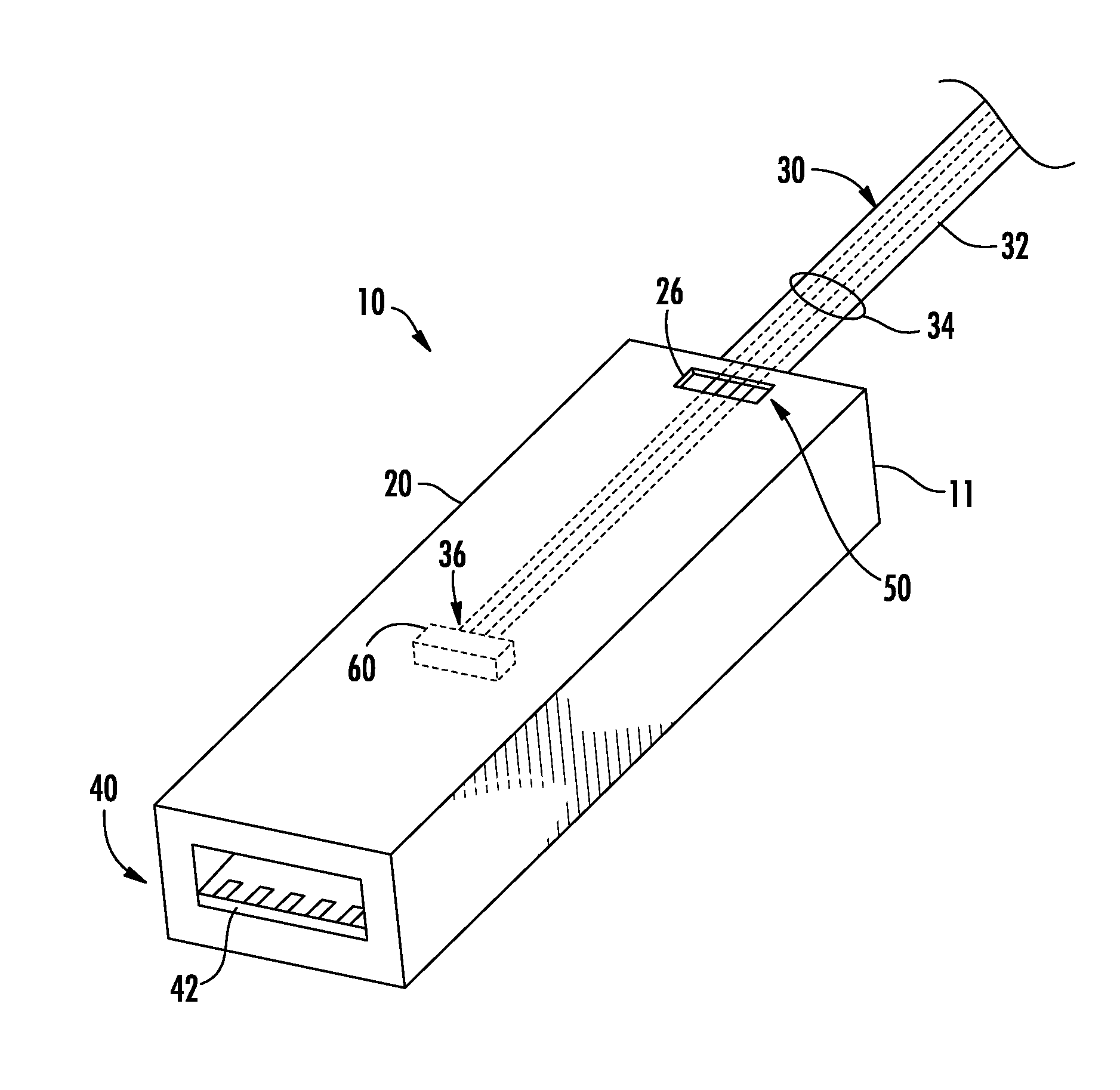 Fiber optic connector assemblies having windowed optical fibers and methods thereof