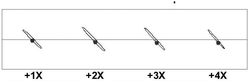 Rotary machine holographic diagnostics method based on frequency modulation information reconstruction