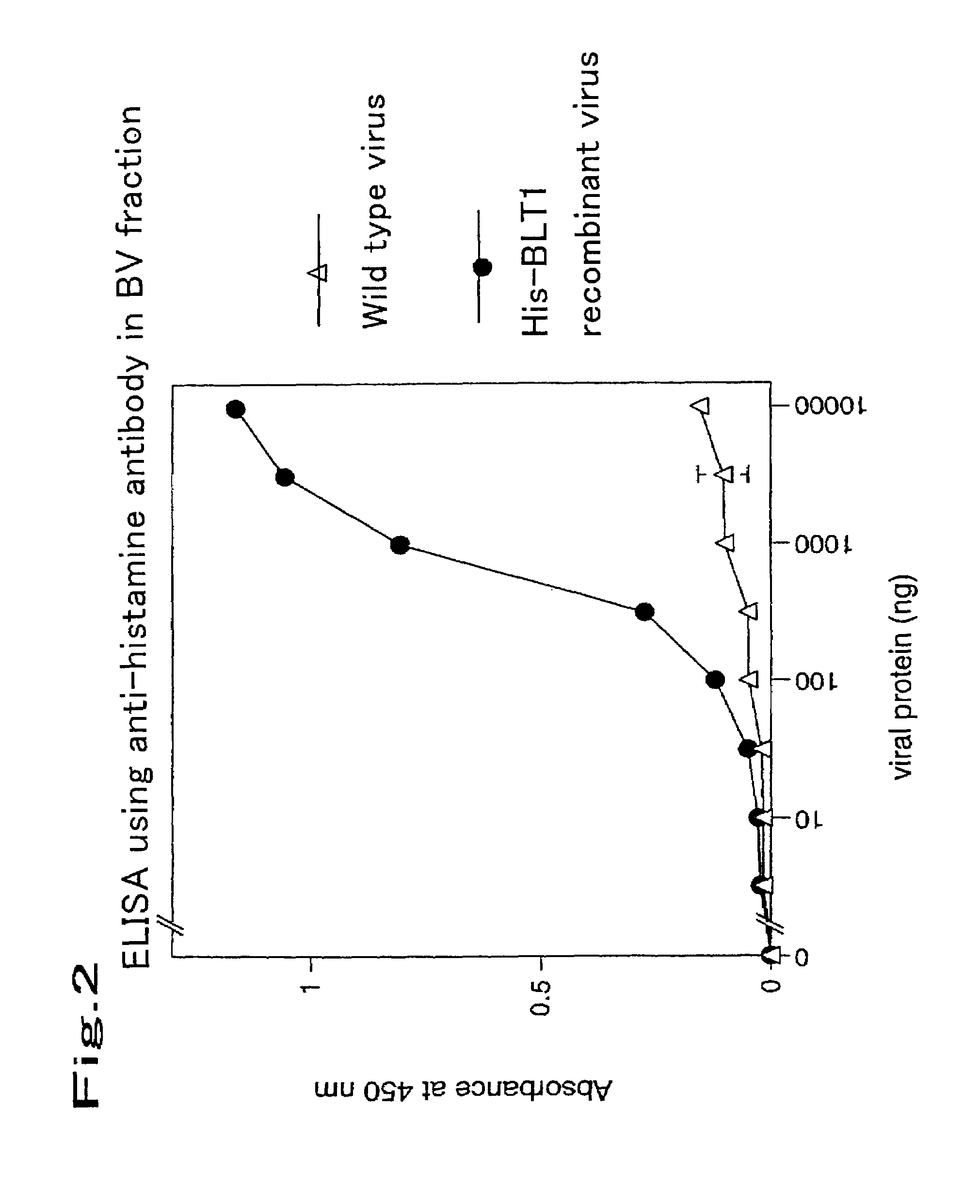 Method for expressing a functional membrane-bound receptor protein using budded baculovirus