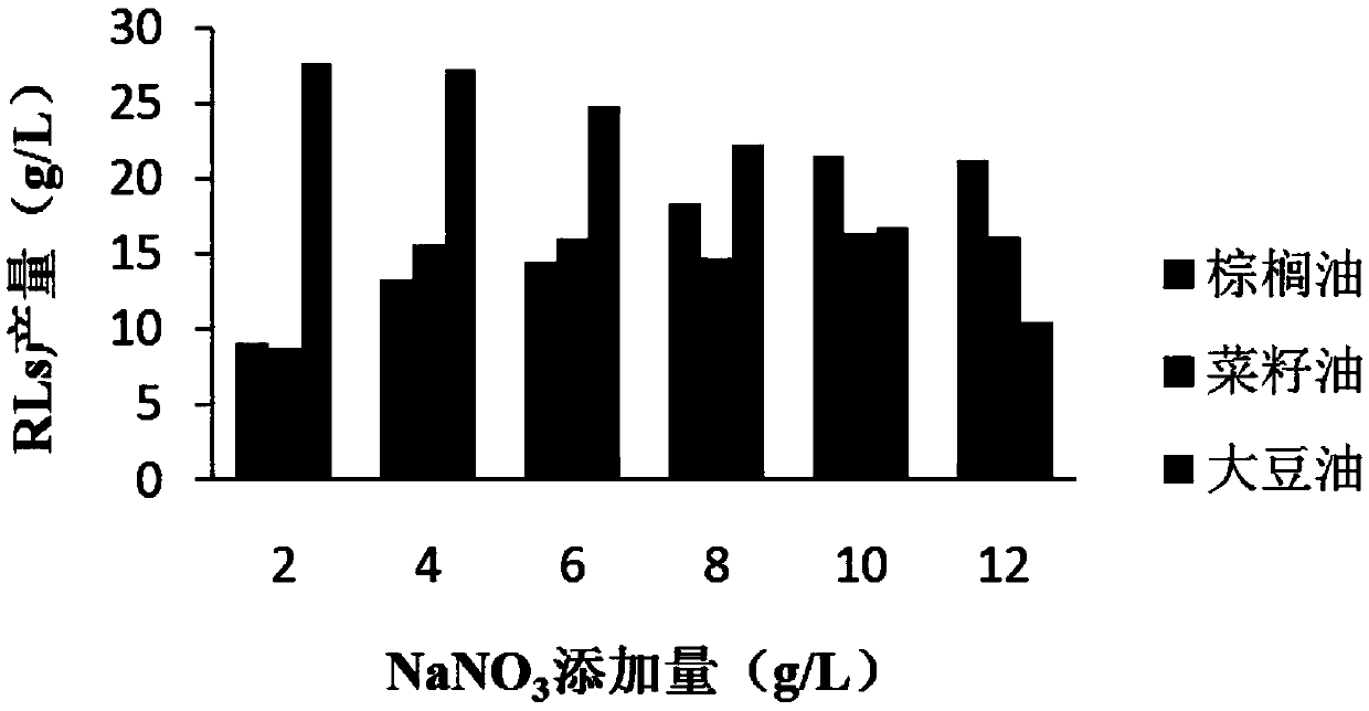 Pseudomonas aeruginosa and application thereof