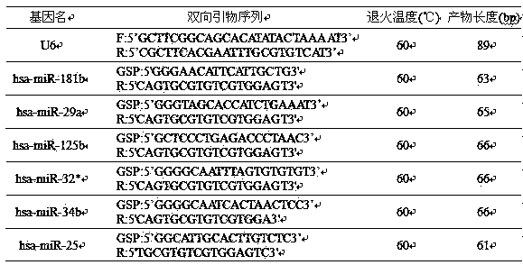 Method for screening and identifying spinocerebellar ataxia type 3 (SCA3)/Machado-Joseph disease (MJD) molecular marker MicroRNAs (miRNAs) capable of regulating and controlling expression of ATXN3 gene