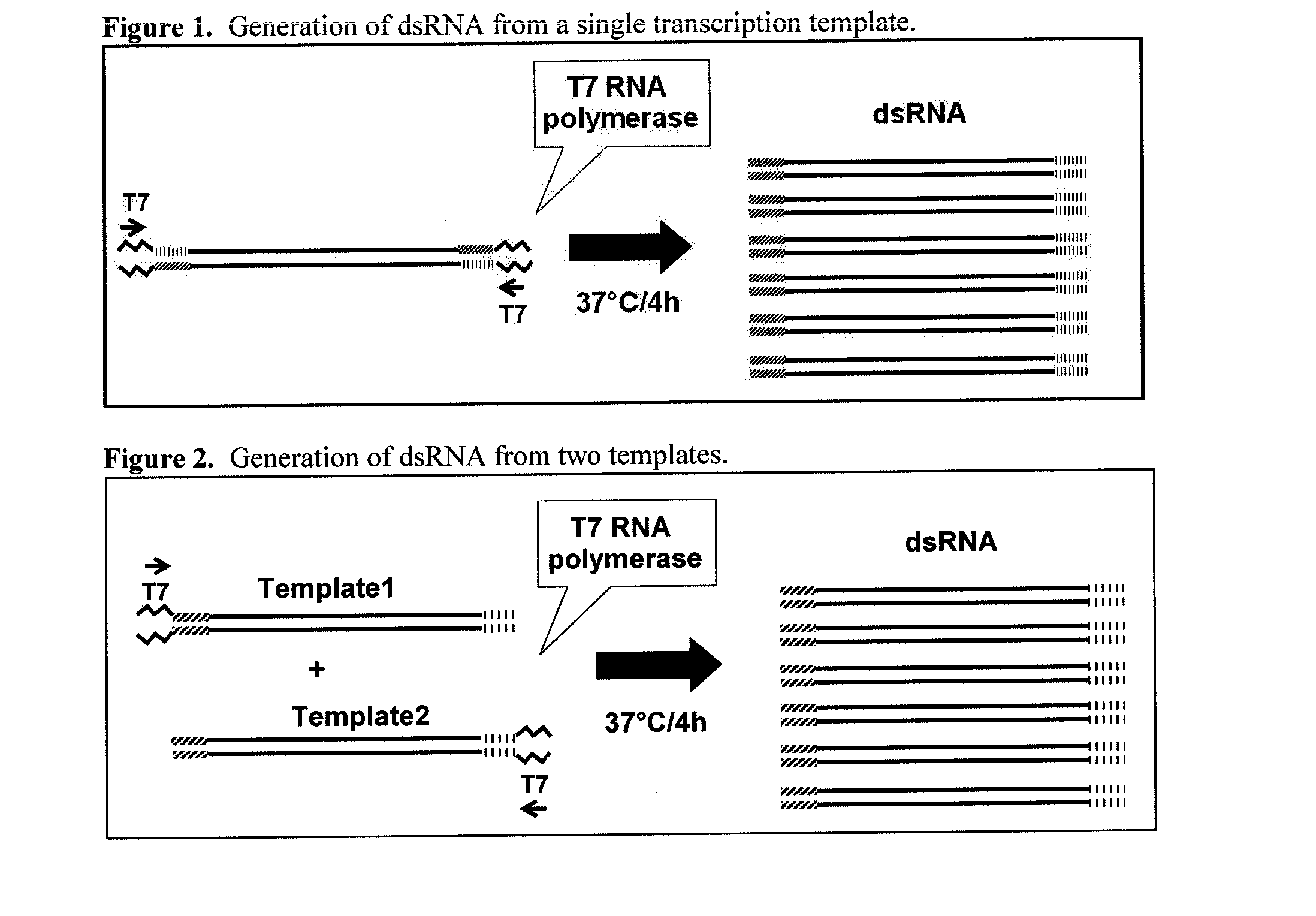 Rnapii-140 nucleic acid molecules that confer resistance to coleopteran pests