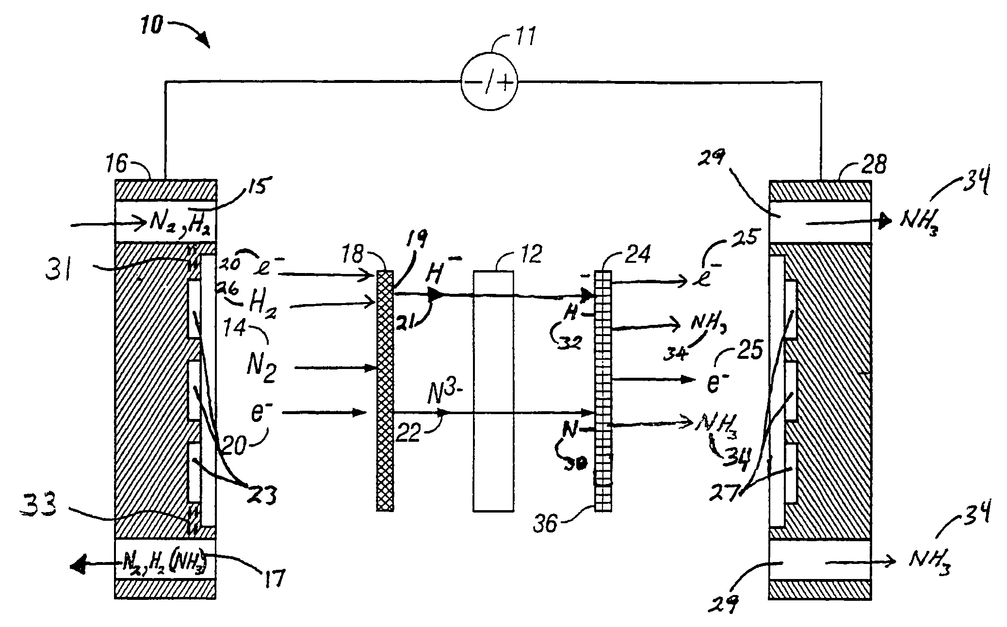 Electrochemical synthesis of ammonia