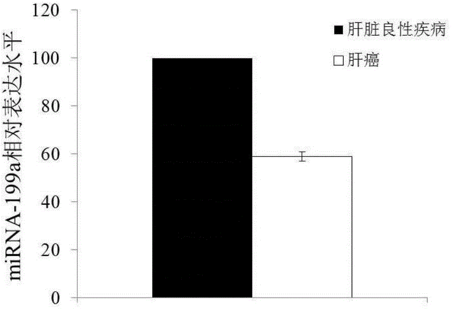 Blood miRNA marker related to liver cancer and application thereof