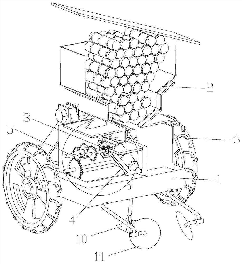 sugar cane planter