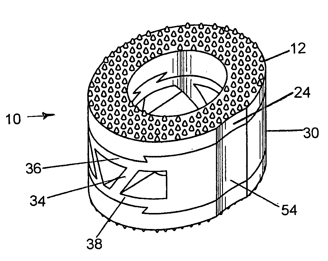 Interbody fusion hybrid graft