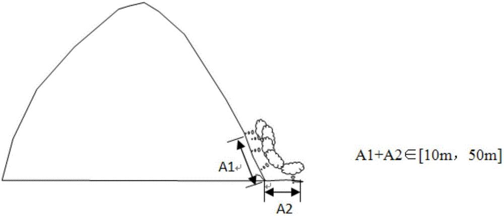 A method for constructing shelterbelts to prevent and control the spread of Mikania micrantha