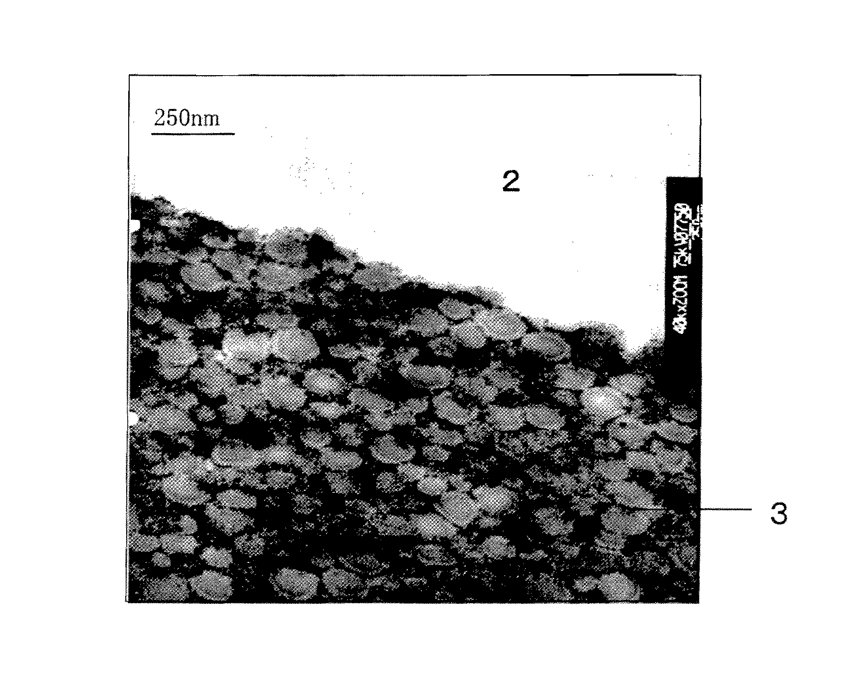 Aqueous Organic-Inorganic Hybrid Composition