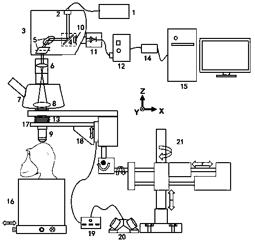 Near-infrared two-zone confocal microscopic imaging system based on multidimensional adjustment frame