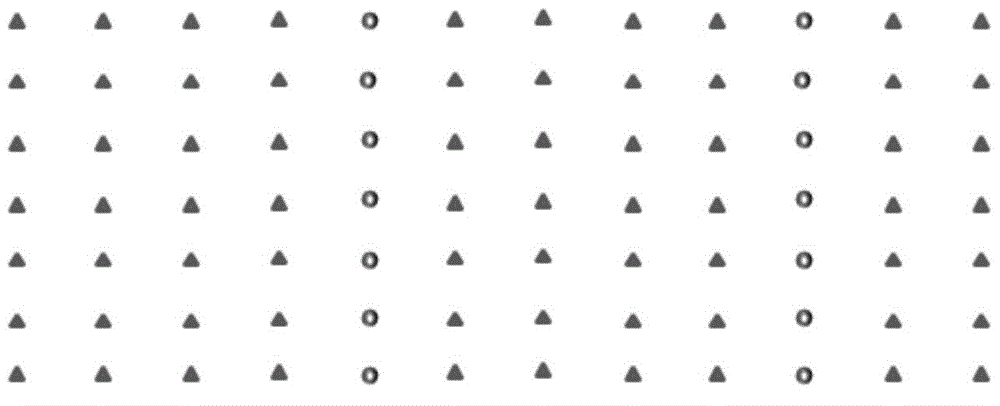 Columnar tree culture method suitable for high-density cultivation of nectarine in greenhouse