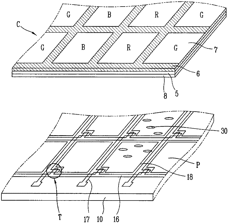 Rubbing method and method of fabricating liquid crystal display device using the same