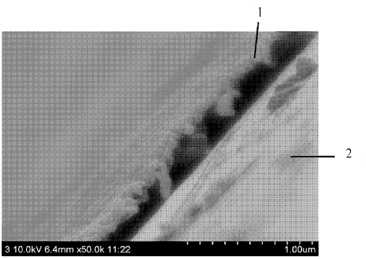 Method for detecting microstructure of reverse osmosis membrane separating layer