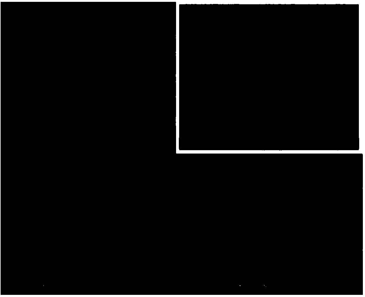 Corrosion resistant film prepared by magnesium alloy surface hydrothermal method and preparation technology thereof