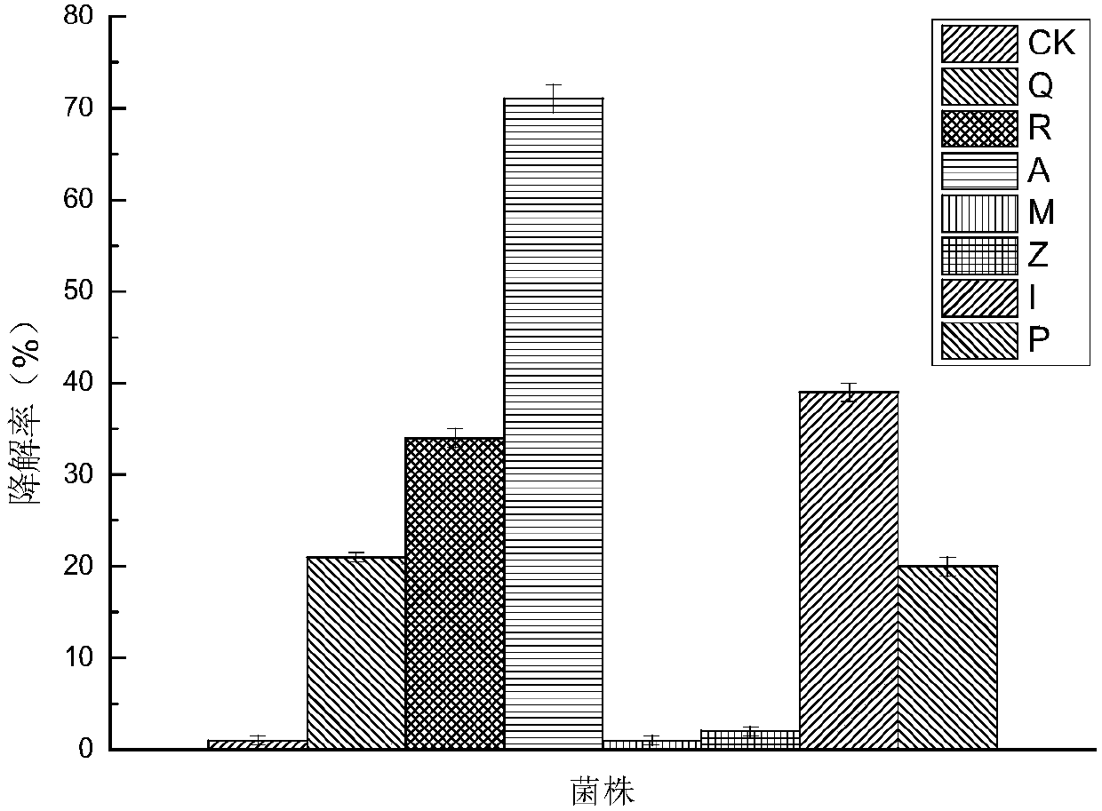 Tylosin degrading bacterium and application thereof