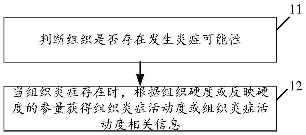 Tissue inflammation activity detection device