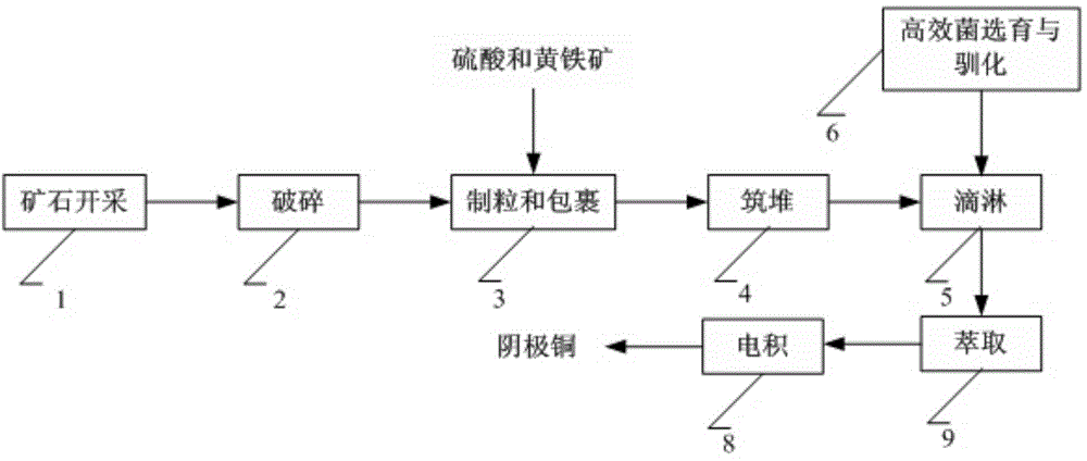 Efficient sulfur-oxidizing bacteria and rapid heating method for low-sulfur copper mine leaching process in Alpine region