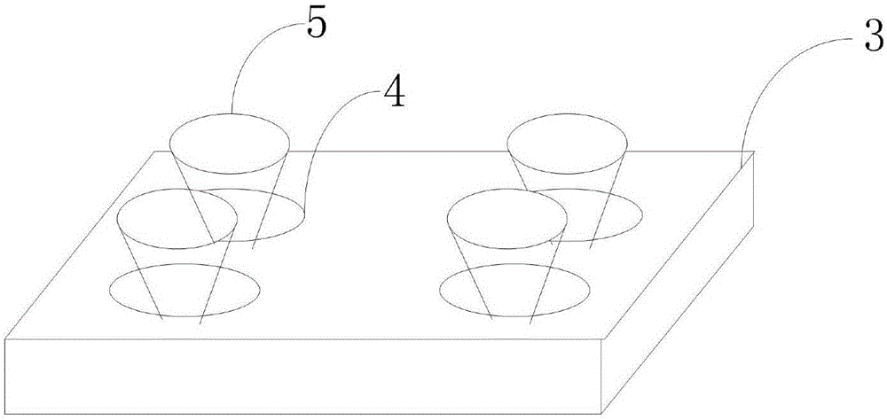 Ecological purifying system for pond water body