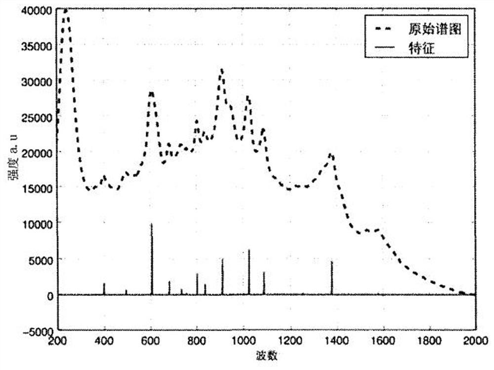 Gene detection method and device based on deep learning and fluorescence spectrum