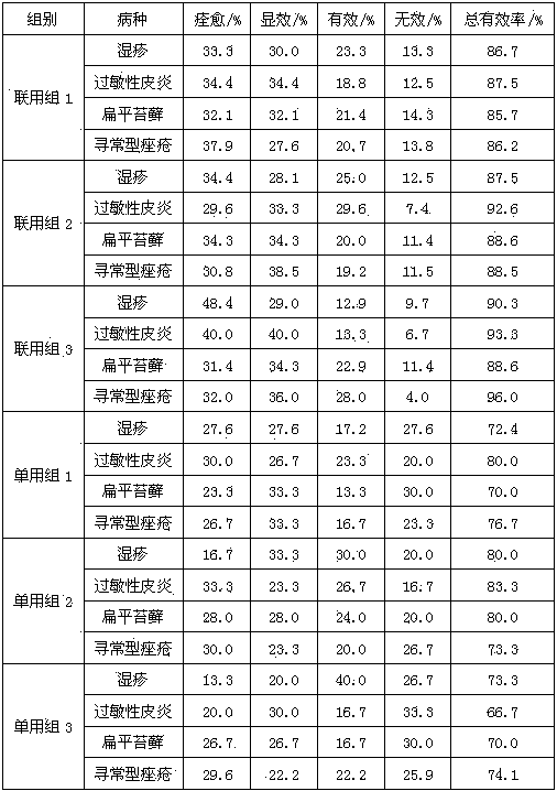 External medicament for treating skin diseases and application thereof