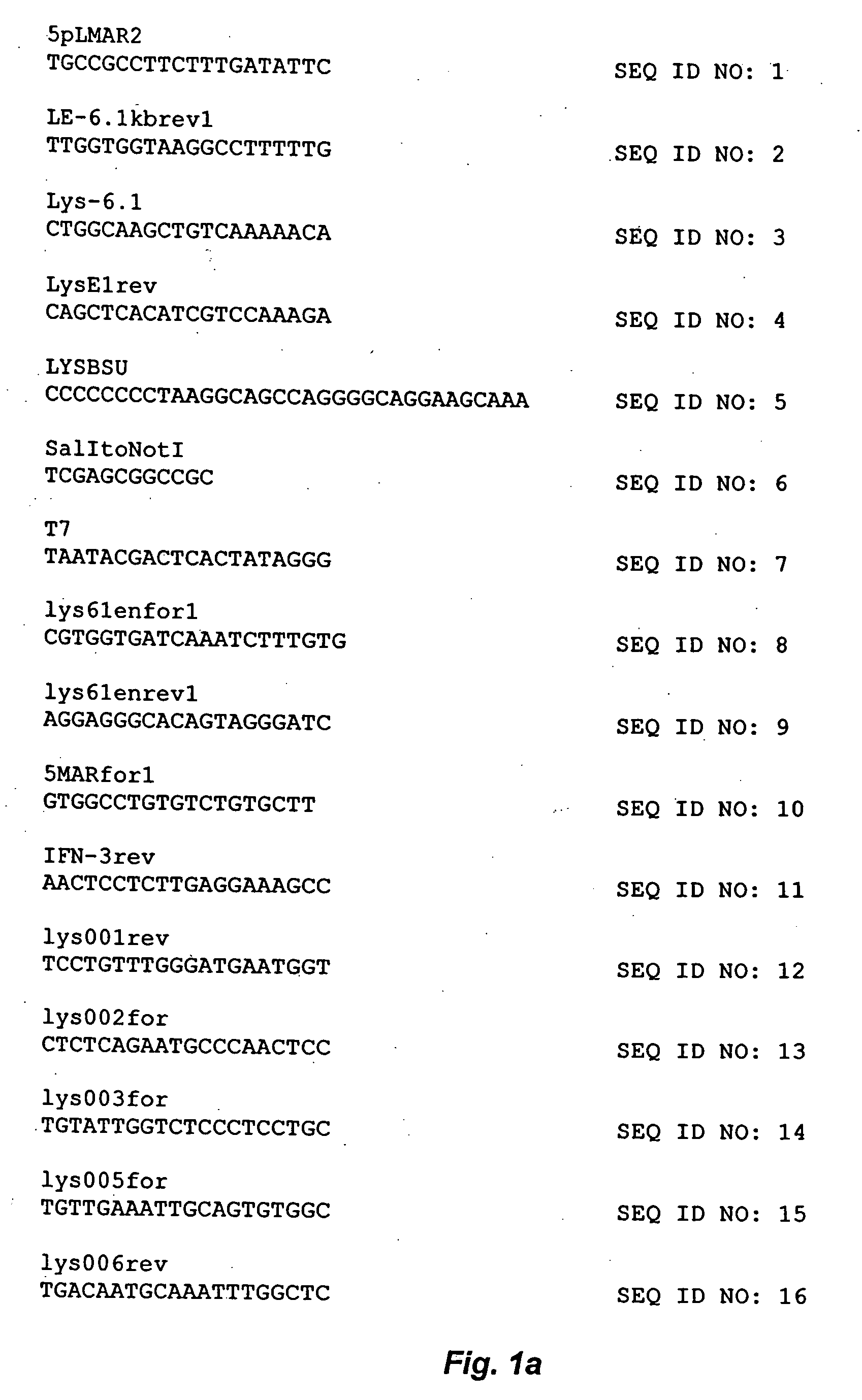 Avians containing a lysozyme promoter transgene