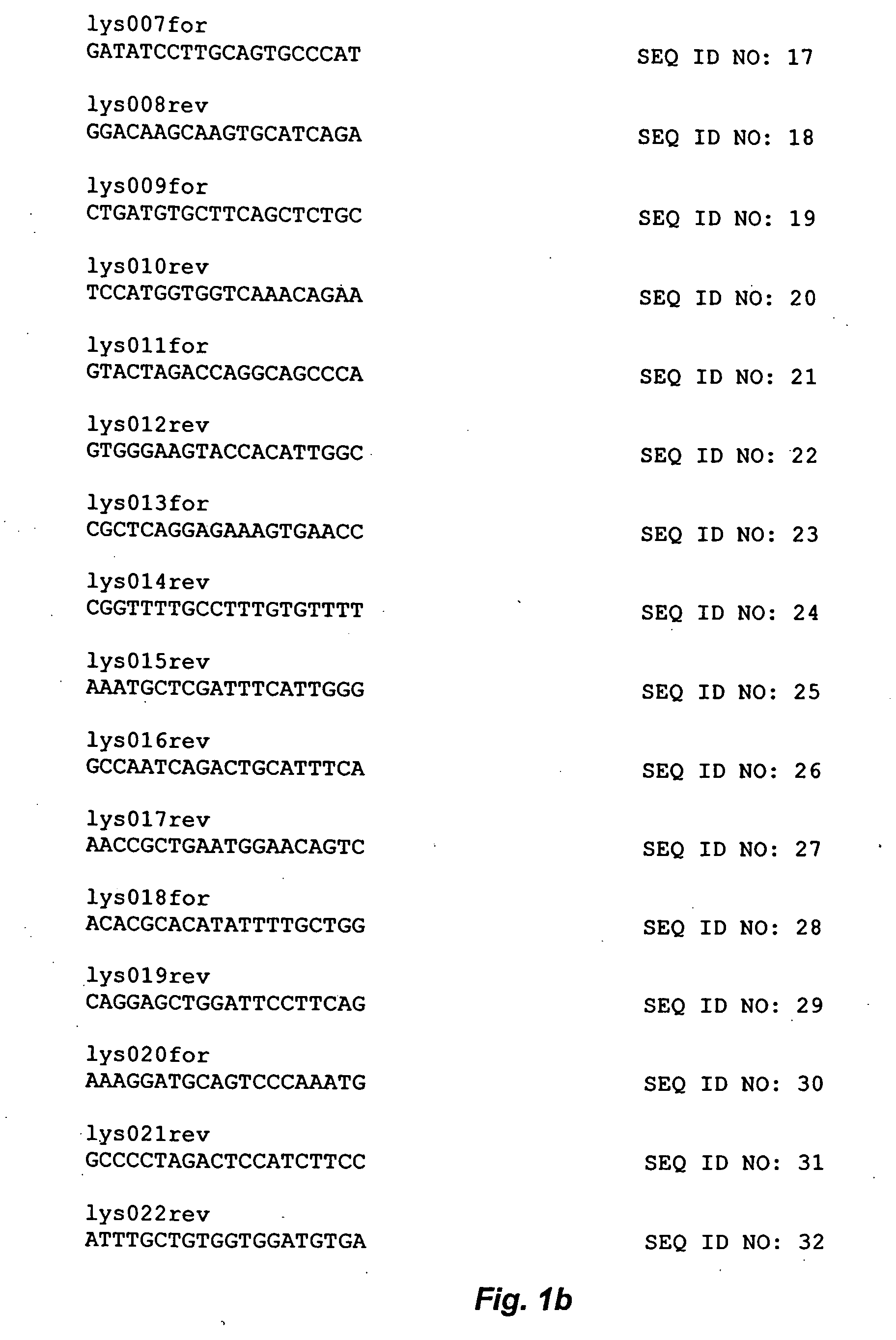 Avians containing a lysozyme promoter transgene