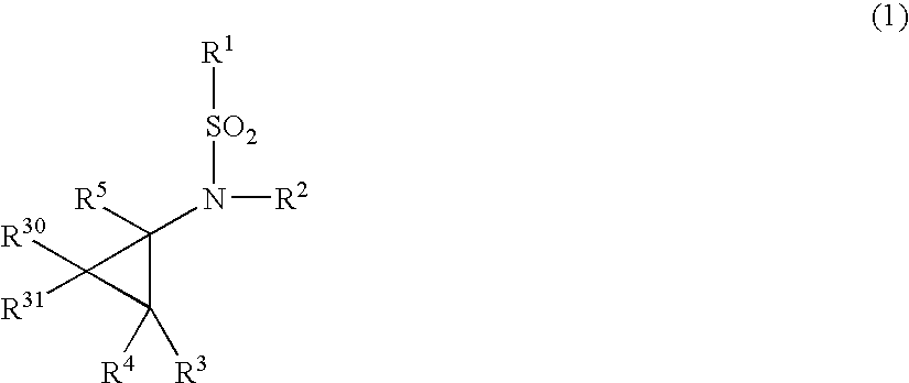 N-Substituted-N-Sulfonylaminocyclopropane Compounds and Pharmaceutical Use Thereof