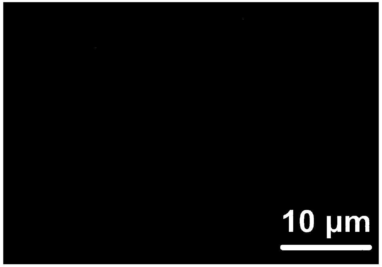 Orientated rod-shaped-structure polyaniline film and preparation method therefor