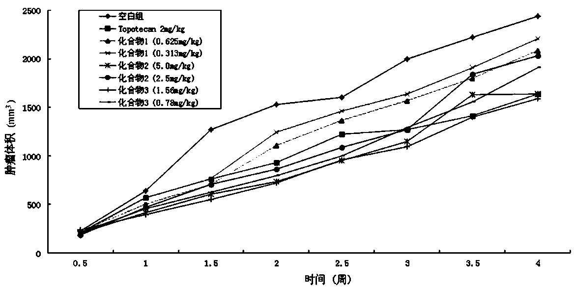 Camptothecin derivative and preparation method thereof as well as application of camptothecin derivative in preparation of medicine for treating tumours