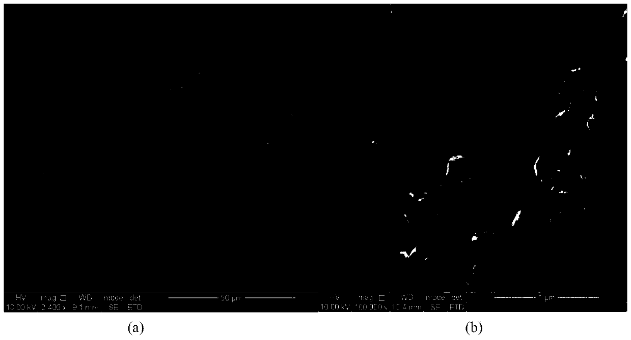 Nano sponge carbon composite Cu2O and Cu flexible electrode material and preparation method thereof