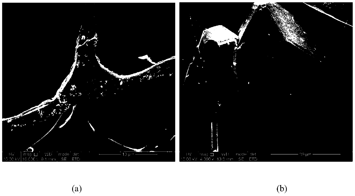 Nano sponge carbon composite Cu2O and Cu flexible electrode material and preparation method thereof