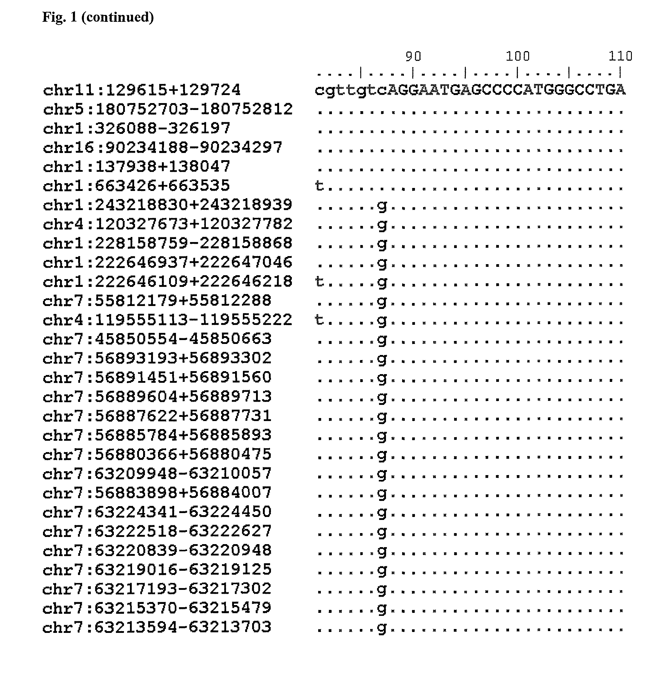 Method for detecting and/or quantifying human DNA