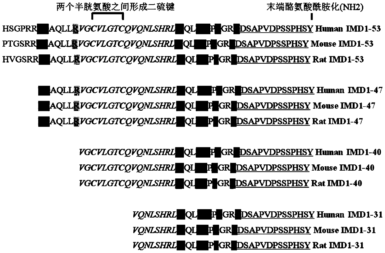 Intermedin-related polypeptide and its use in the prevention and treatment of sepsis