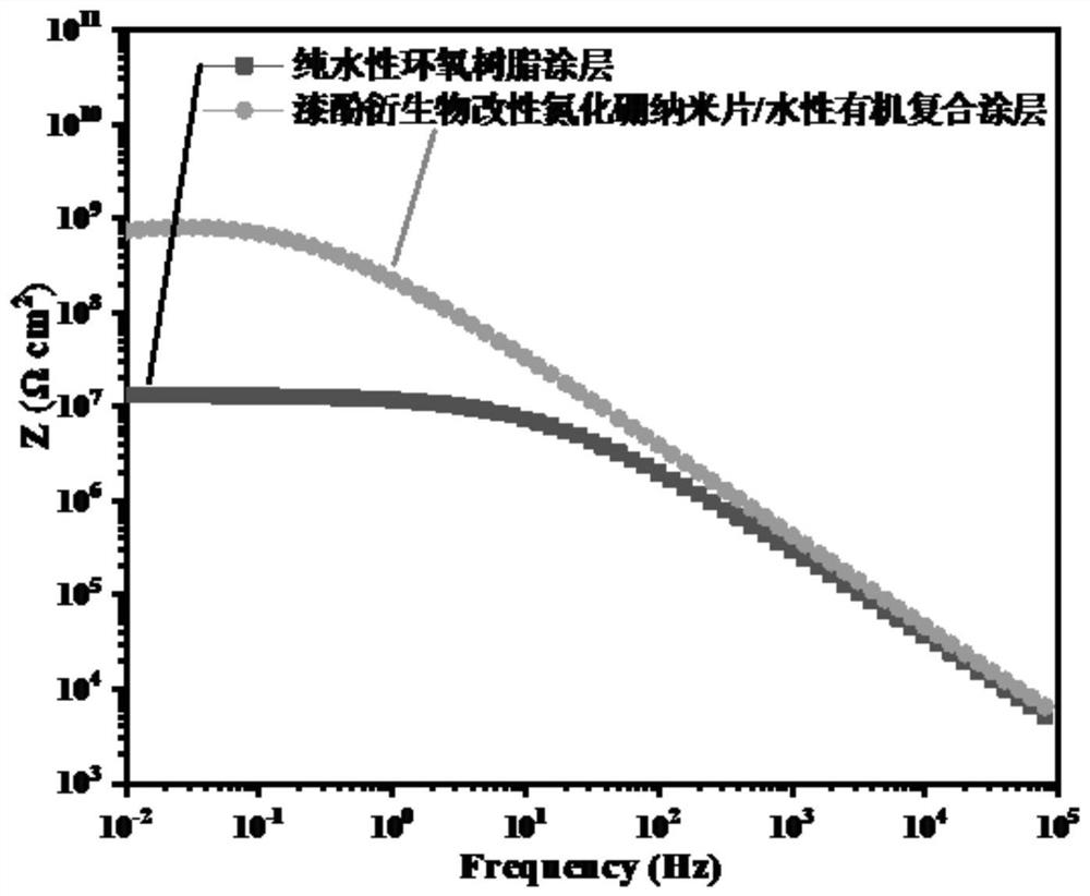 Water-based nanosheet composite coating as well as preparation method and application thereof