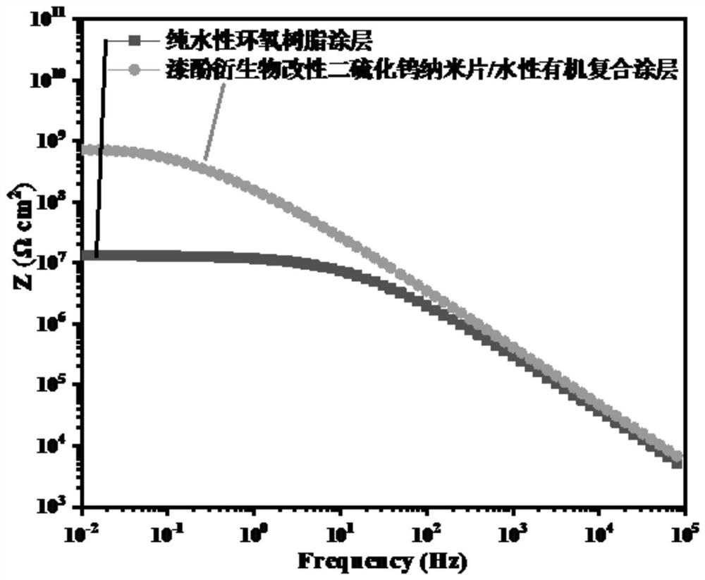 Water-based nanosheet composite coating as well as preparation method and application thereof