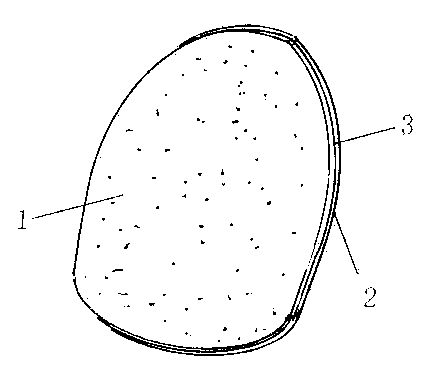 Nail-painting mold capable of replacing nail polish