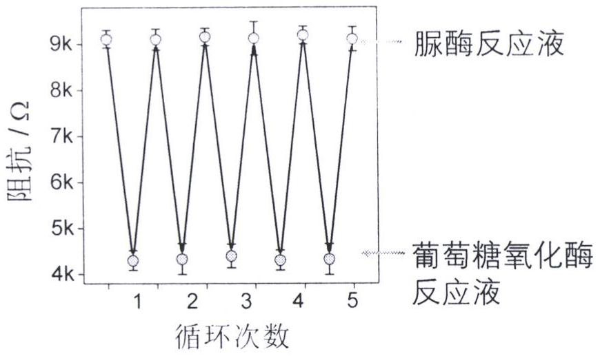 Novel electrochemical biosensing method for detecting glucose oxidase and urease and application of novel electrochemical biosensing method