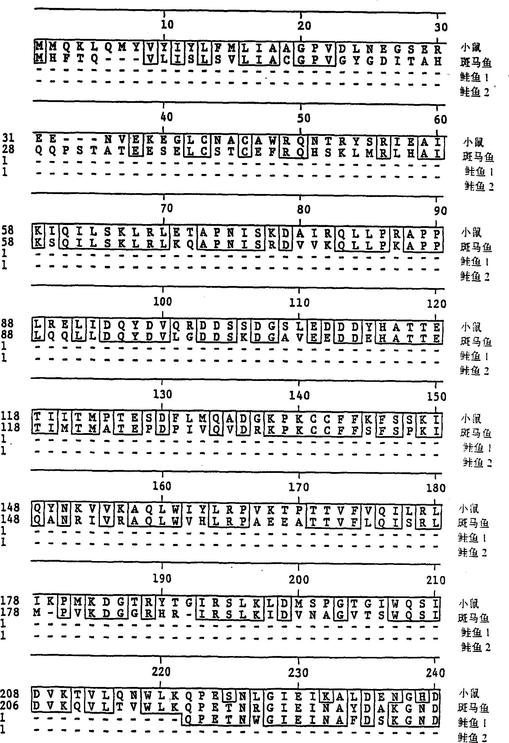 Growth differentiation factor receptors, agonists and antagonists thereof, and methods of using same