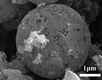 Method for degrading phenol by nitrogen-boron co-doped carbon-based microbial fuel cell cathode