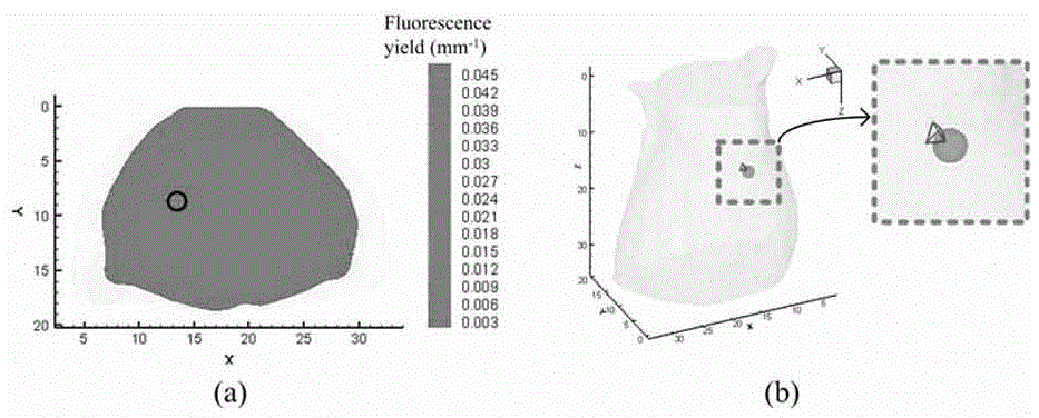 Fluorescent molecular tomography imaging reconstruction method based on limited projection of double grids