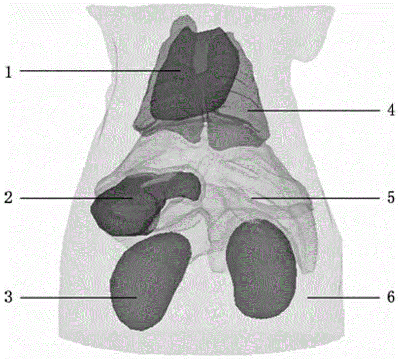 Fluorescent molecular tomography imaging reconstruction method based on limited projection of double grids