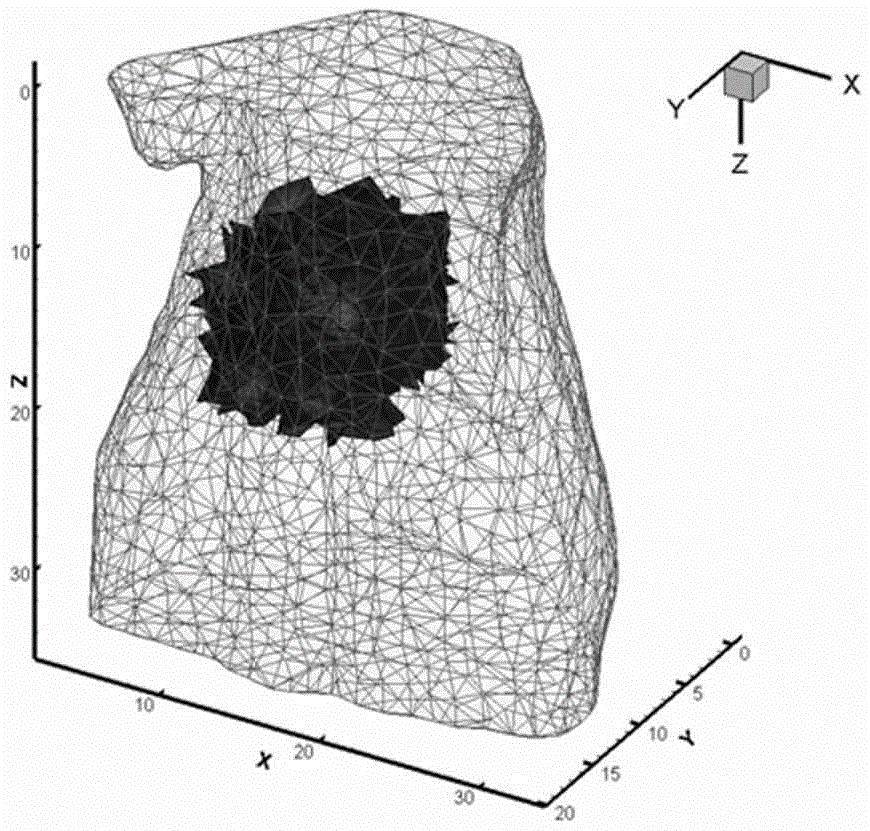 Fluorescent molecular tomography imaging reconstruction method based on limited projection of double grids