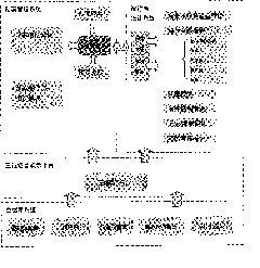 Accident emergency drilling system and method